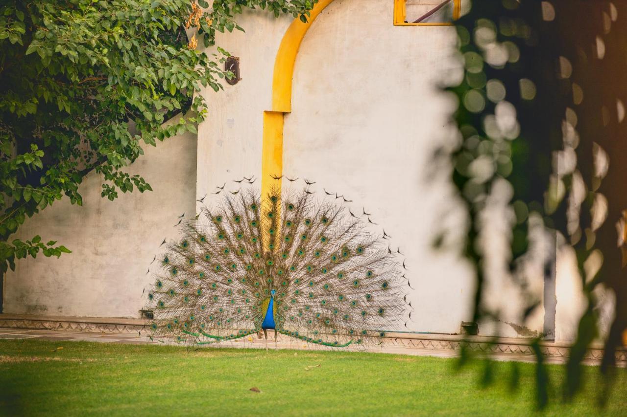 Diggi Palace - A City Center Hidden Heritage Gem Jaipur Extérieur photo